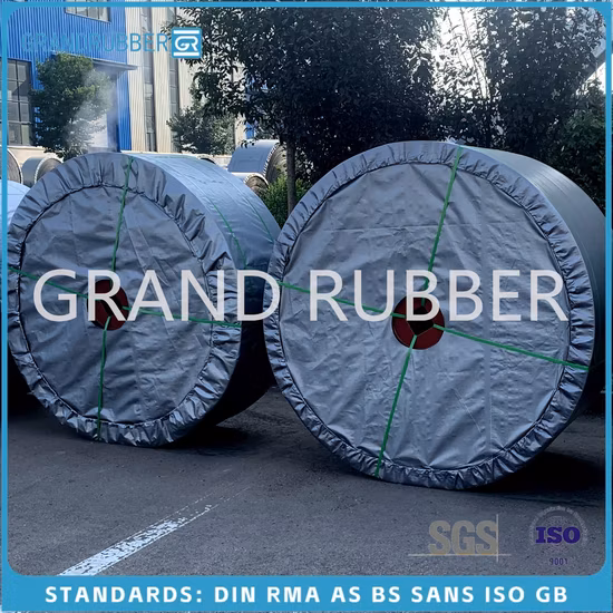 200-300g Swimming Pool Ozone Generator System with Advanced Ozone Technology