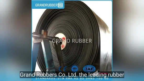 200-300g Swimming Pool Ozone Generator System with Advanced Ozone Technology