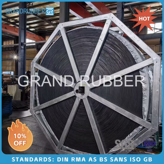 200-300g Swimming Pool Ozone Generator System with Advanced Ozone Technology